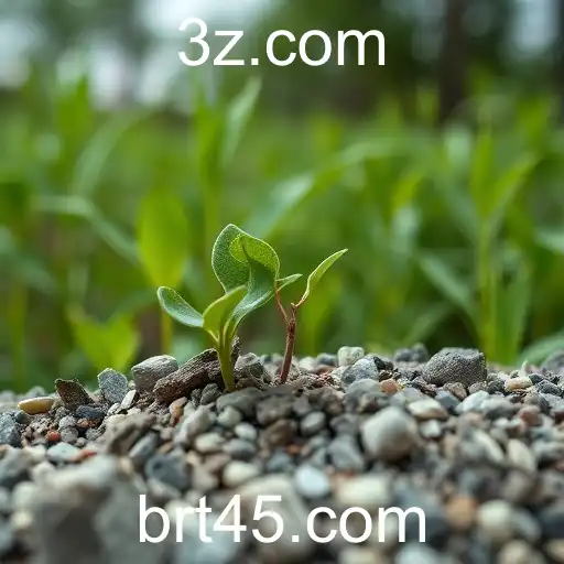 Explorando o Fenômeno T45: A Nova Sensação dos Jogos Online